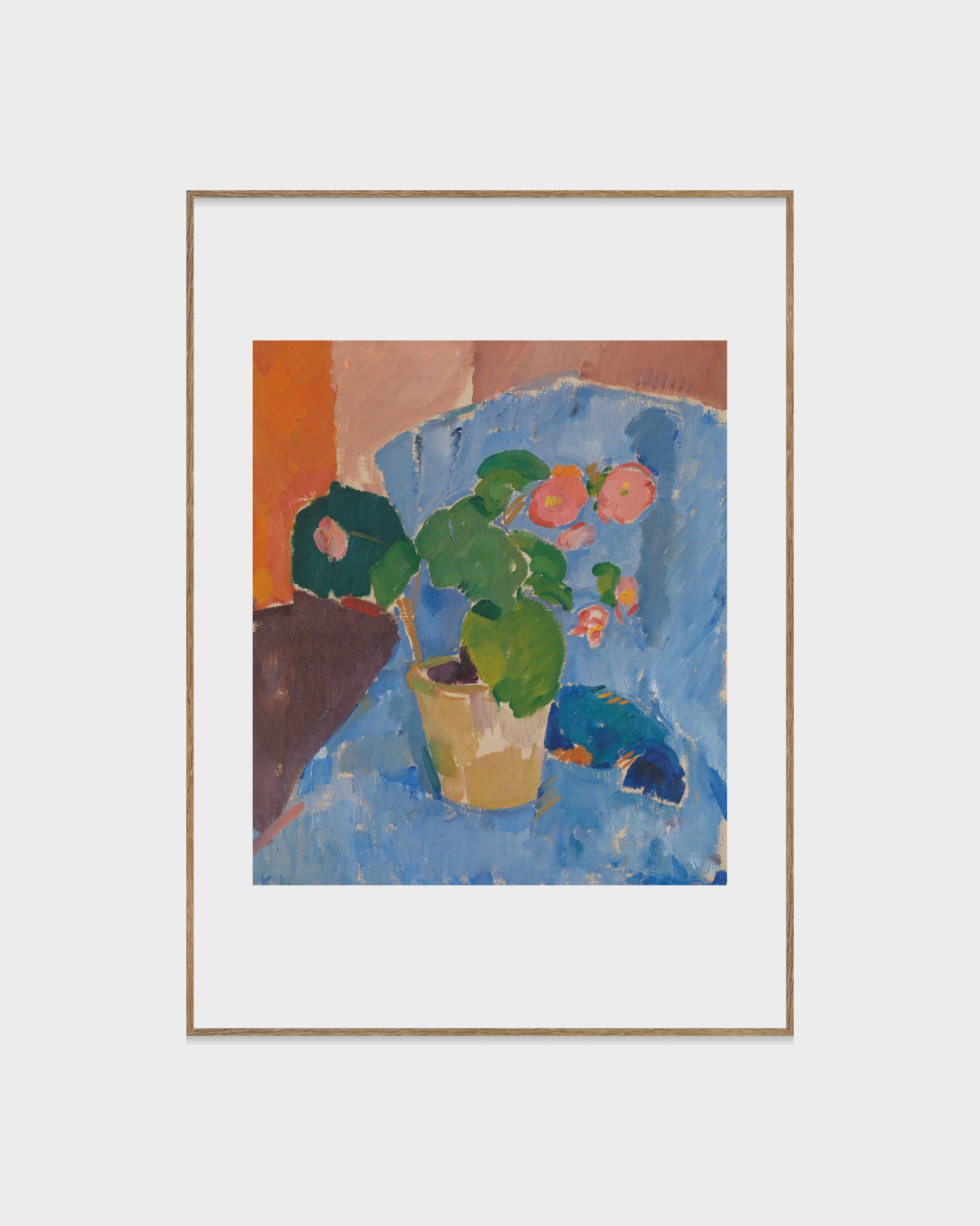 Stilleben med begonia