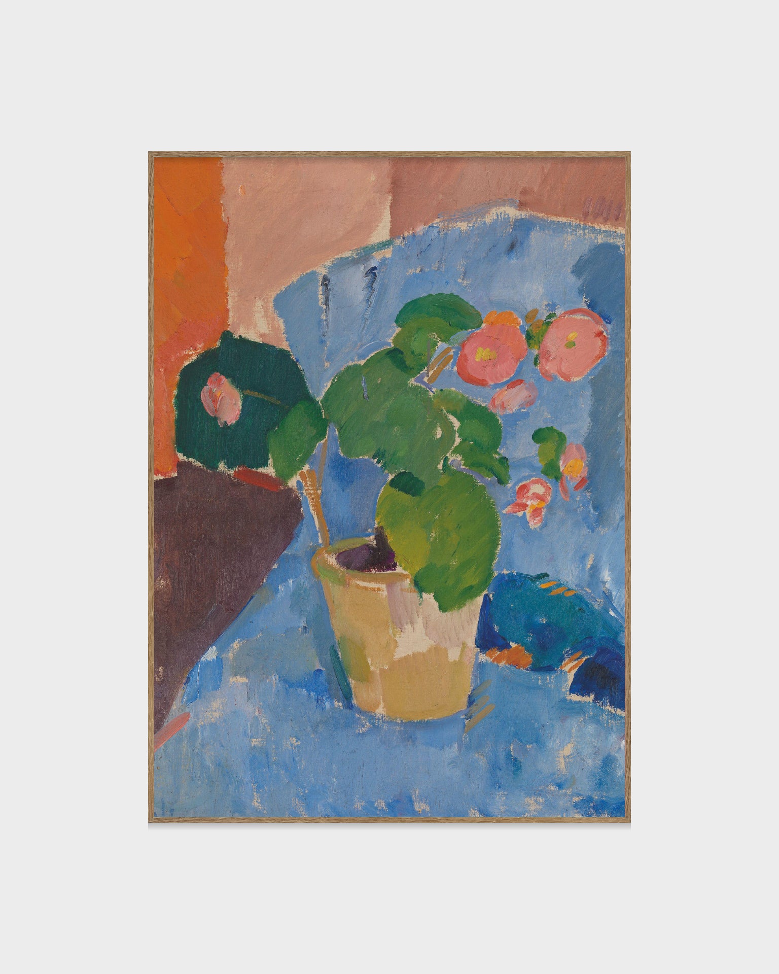 Stilleben med begonia
