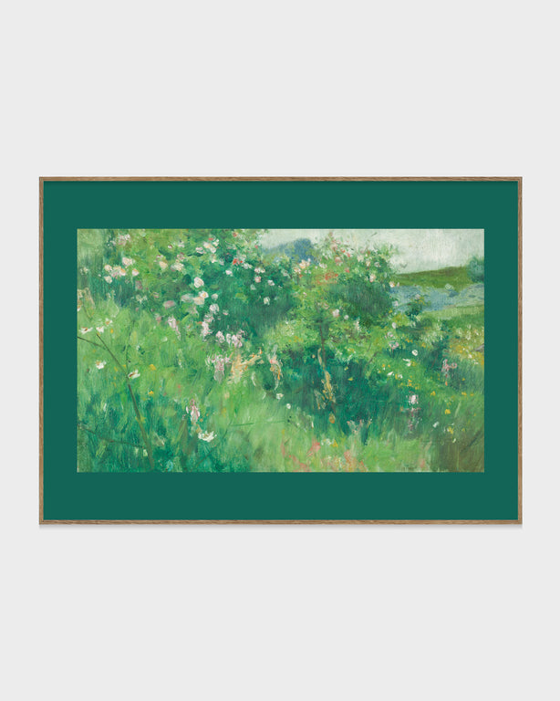 Blommande nyponbuskar, Hoga, Tjörn