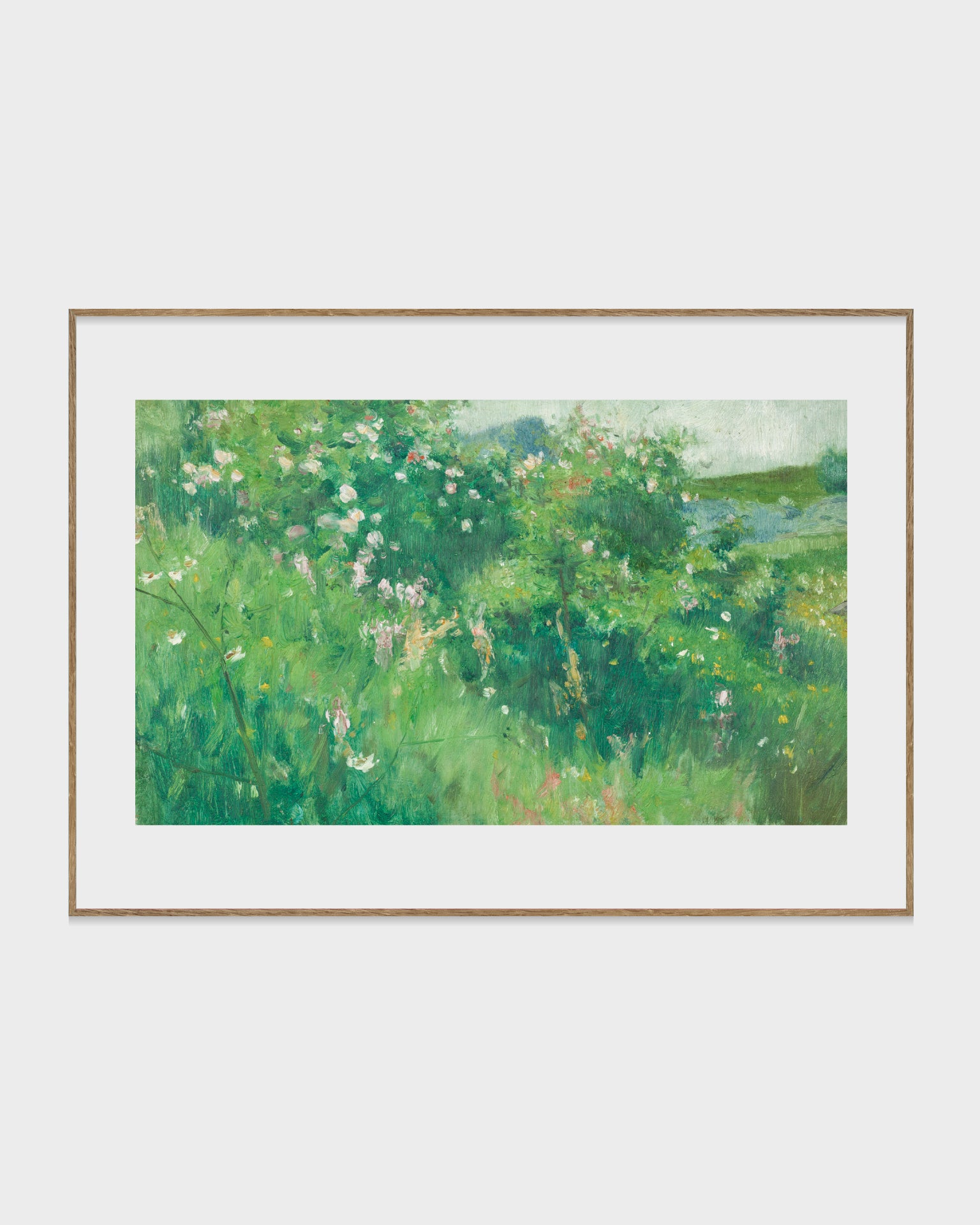 Blommande nyponbuskar, Hoga, Tjörn