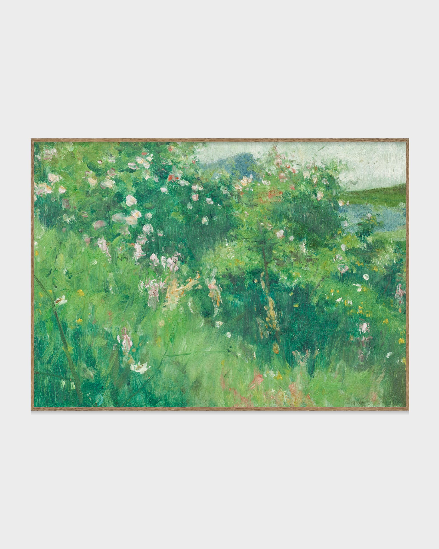 Blommande nyponbuskar, Hoga, Tjörn